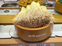 -龍歌自助小火锅(崂山丽达店)