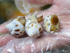 -巽寮印象美食部落餐厅·海鲜·地方特色菜(惠州体验店)