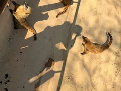 -杭州野生动物世界