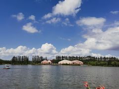 -上海长兴岛郊野公园