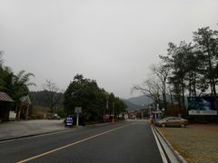 -九龙江国家森林公园