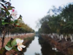 -西青郊野公园