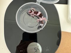 -酷以爬仙阁实体爬宠店·守宫·蜥蜴·专业繁育