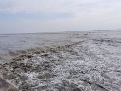 -观潮胜地公园