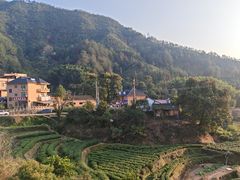 -杨家堂村