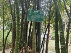 -广西壮族自治区药用植物园