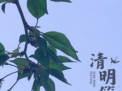 -苏州东太湖生态园