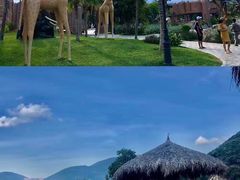 -芽庄珍珠岛游乐园