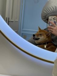 -YESIDO椰岛造型烫发染发