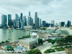 -新加坡文华东方酒店