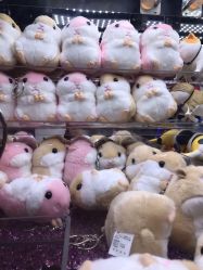 -卡通尼乐园(印象城购物中心店)