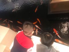 -君悦酒店·1881·北京烤鸭