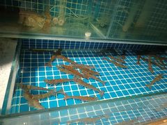 -犇鼎牛潮汕牛肉火锅(新辰里学清路店)