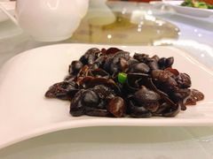 黑木耳-骏莱海鲜鱼港(五角场店)