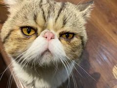 -参差咖啡(水果湖公园店)