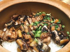 金牌黄鳝饭-红星光发煲仔饭(文海店)