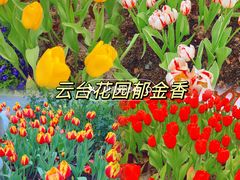 -海心沙亚运公园