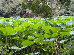 -成都武侯祠博物馆