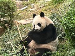 -石排湾郊野公园