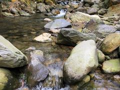-羚羊峡古栈道森林公园