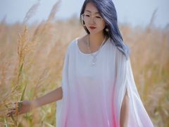 -金塔沙漠胡杨林景区