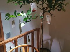 -Oasis coffee燕谷咖啡(公信店)