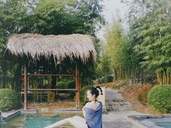 -崇阳三特浪口温泉
