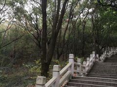 -灵岩山风景区
