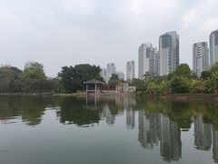 -金山公园