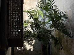 -乌镇东栅景区