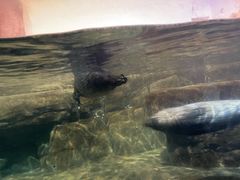 -福州罗源湾海洋世界旅游区