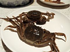 活蟹-餐海·海鲜自助餐厅(宝龙广场店)