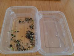 -川外川(星海店)