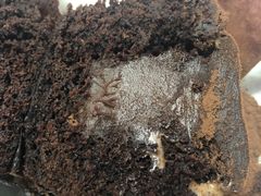 -下午的温度面包店(静宁路店)