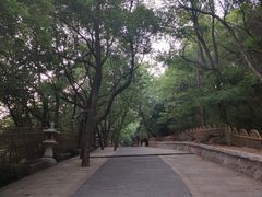 -灵岩山风景区