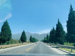 -王顺山国家森林公园