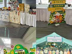 -沈阳奥林匹克体育中心