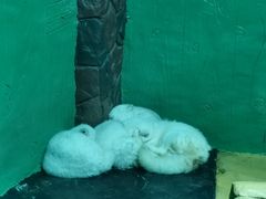 -大连圣亚海洋世界