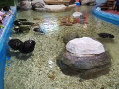 -顺德南宏海立方海洋公园