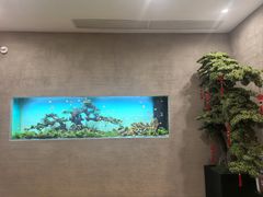 -松临·铁板烧&Omakase(神农店)