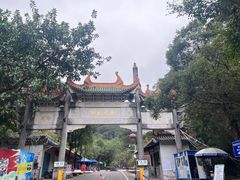 -南海湾森林生态园