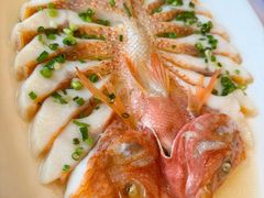 -骏莱海鲜鱼港(五角场店)