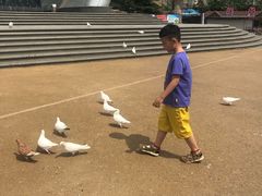 -烟台海昌鲸鲨海洋公园