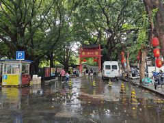 -侨美·唐荔园·40年地道粤菜