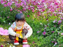 -金鸡山公园
