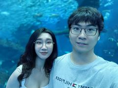-哈尔滨波塞冬海底世界