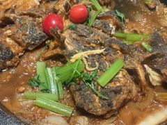 -老板恋上鱼(恒隆广场店)