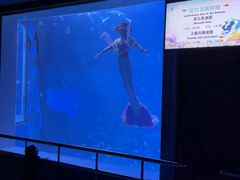 -太平洋海底世界