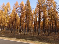 -塞罕坝国家级自然保护区