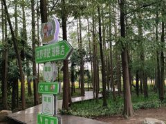 -上海长兴岛郊野公园